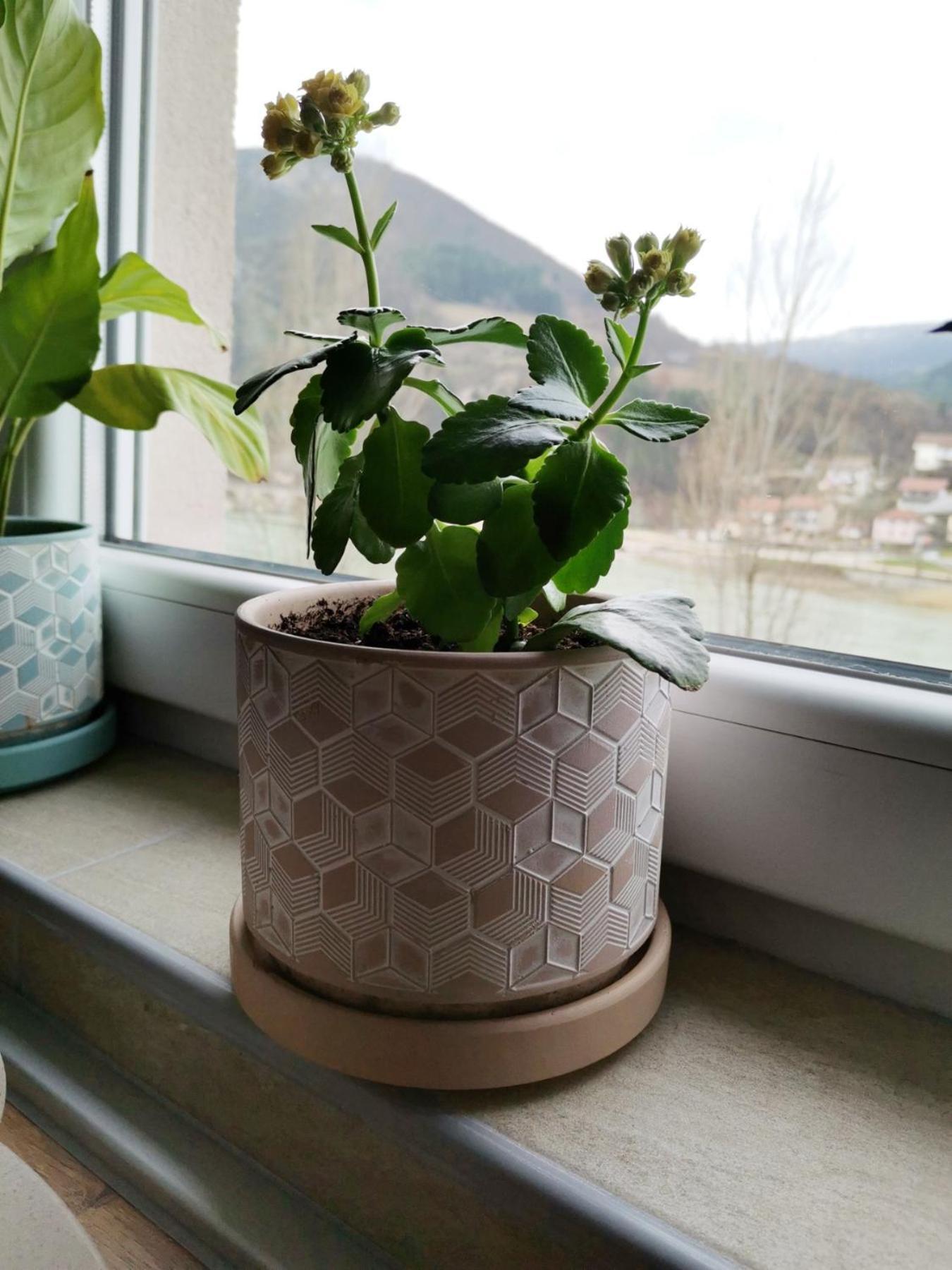 Višegrad Apartment Mademoiselle חדר תמונה